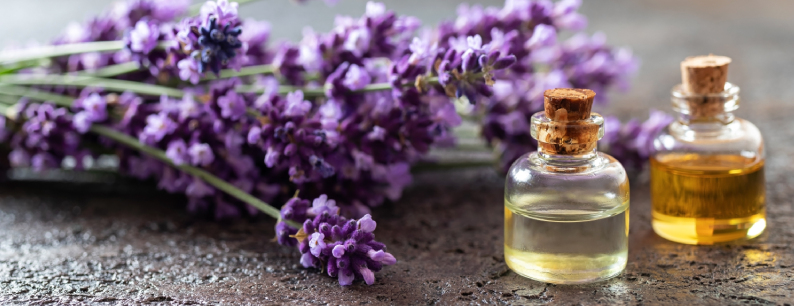 Lavanda